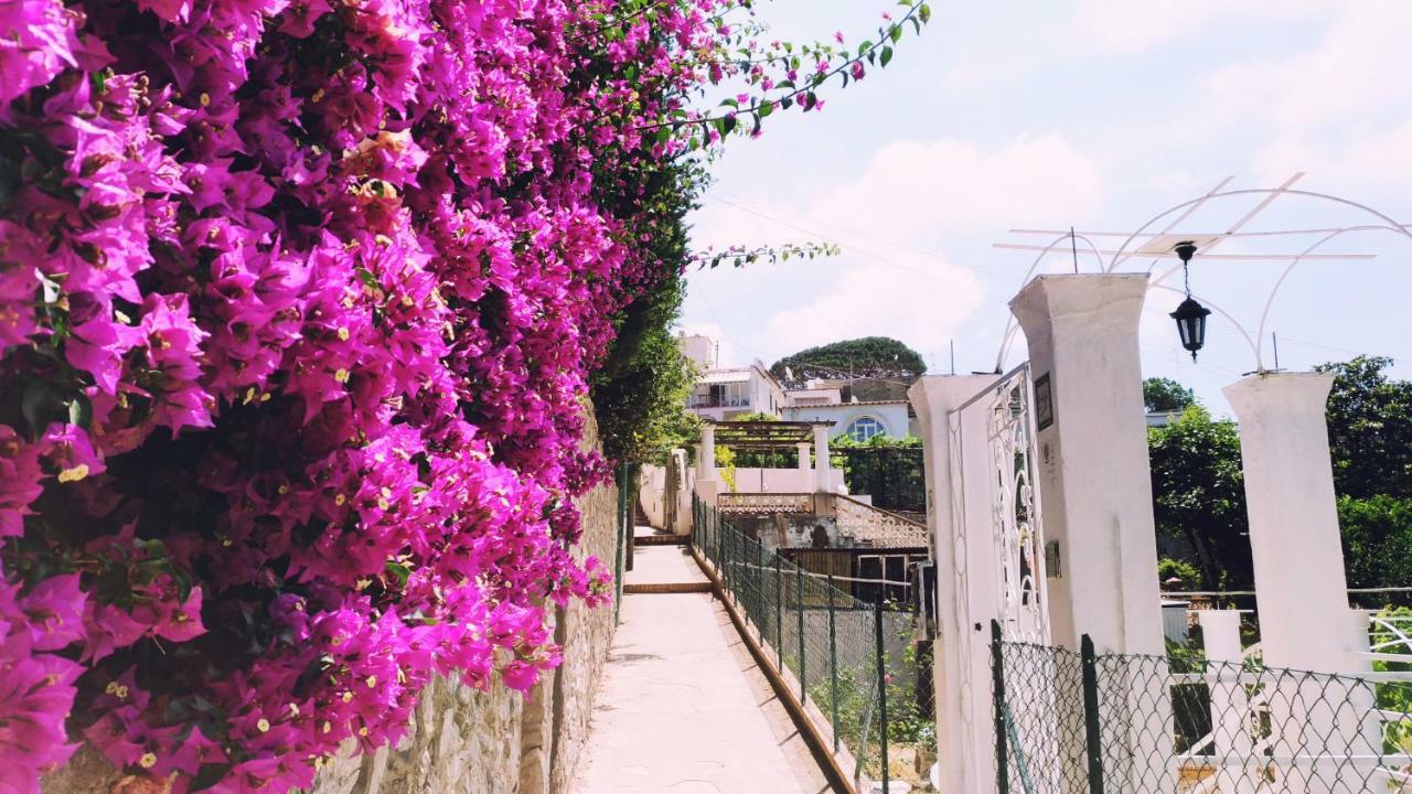 Hotel Don Raffaé Capri Exterior foto